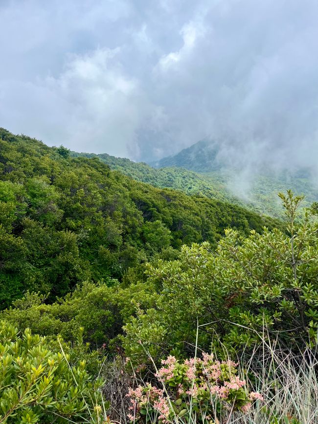 Verso il vulcano Santa Ana