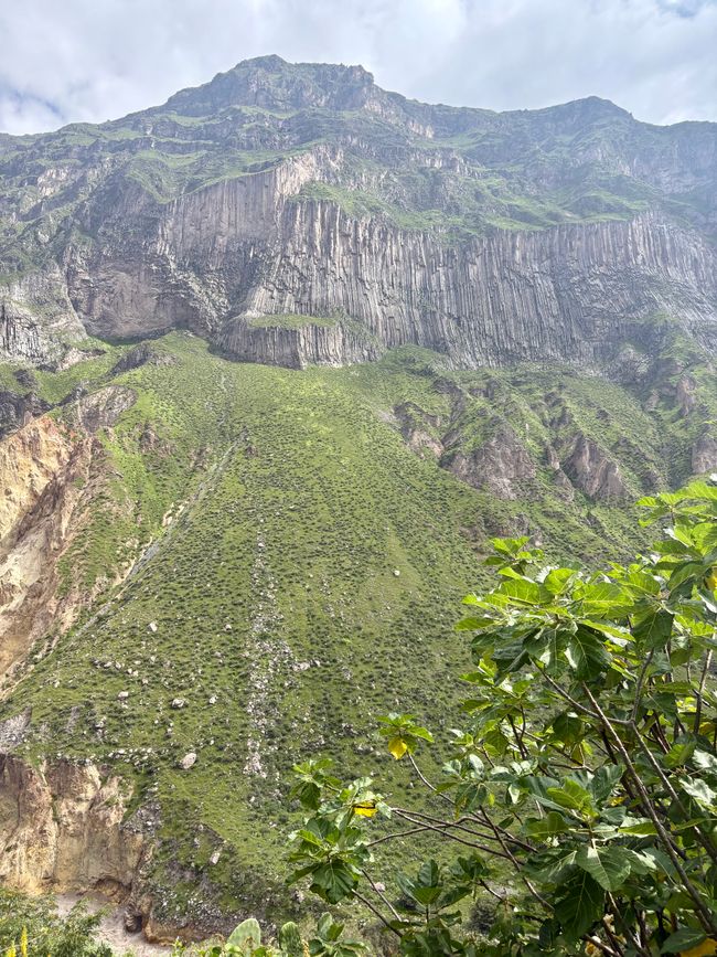 Canyon de Colca