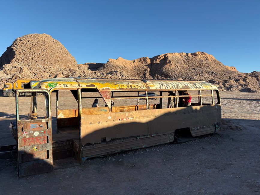 Désert d'Atacama 🦙🦩🌵