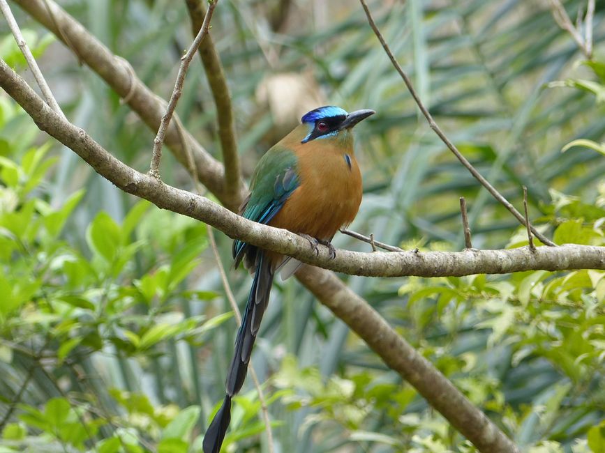 Refugio Canaa Brasil