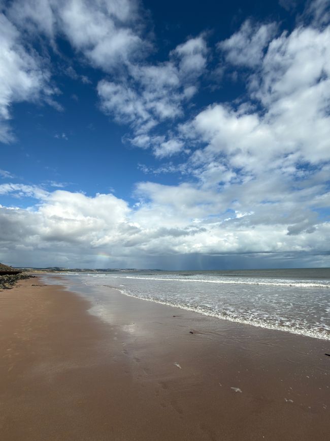 Tage in Montrose..