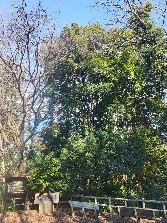 Der Eingang zum Serigaya Park