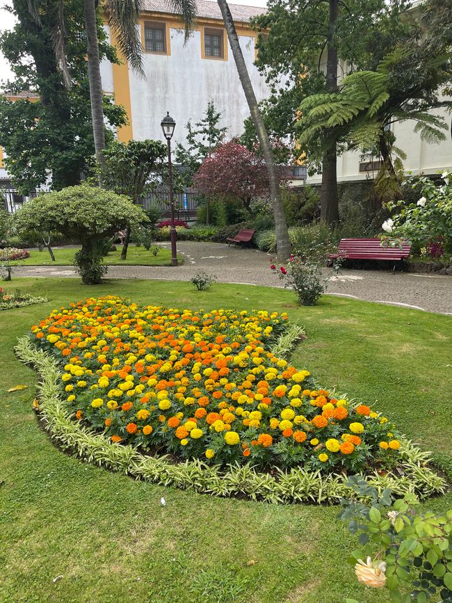 Patrimoine mondial Angra