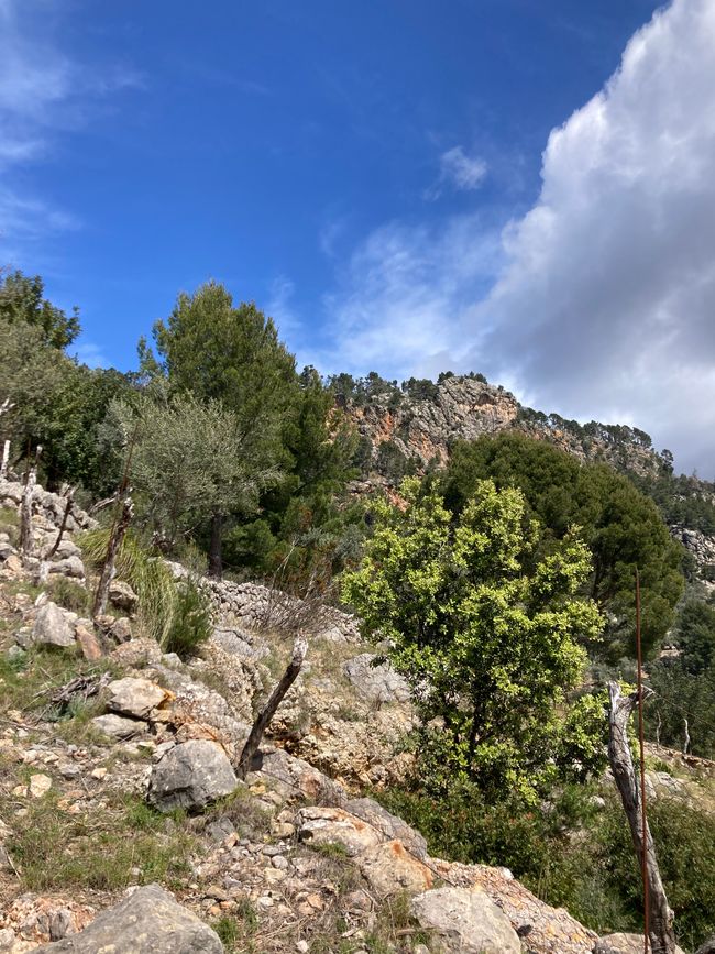 Fornalutx… heißt übersetzt, bestimmt- „steile Treppen“