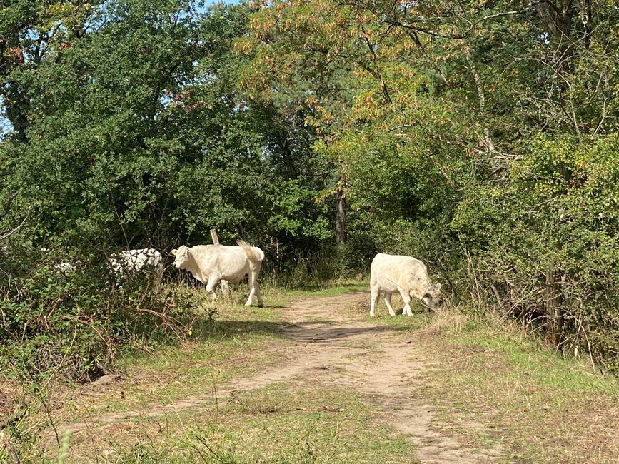 Diese Gruppe pflegt die Landschaft
