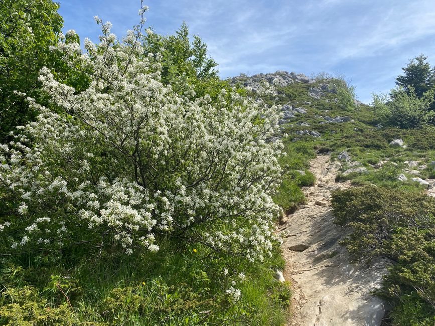 Wanderung auf den Pic Saint-Michel (Grenoble)