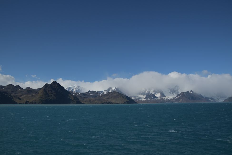 Südgeorgien / South Georgia