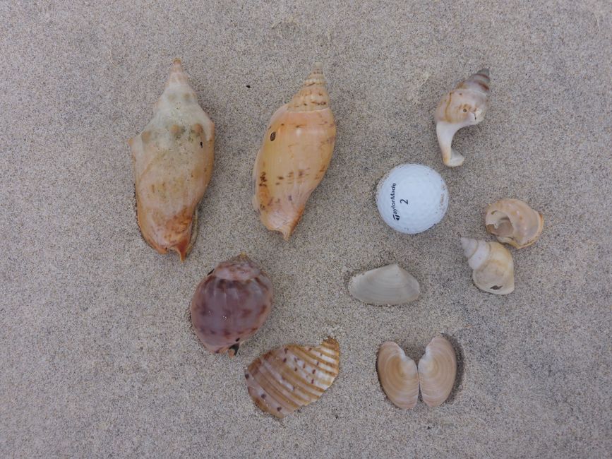 2025-04-11 NZ, Coromandel