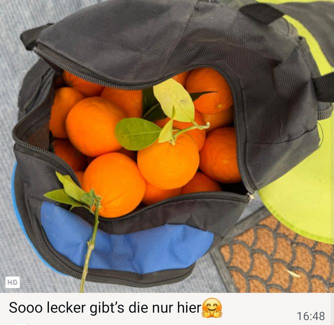 Vorrat an Orangen 