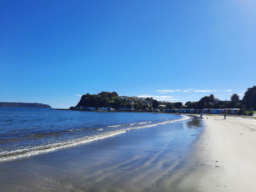 From old memories: Titahi Bay today and then