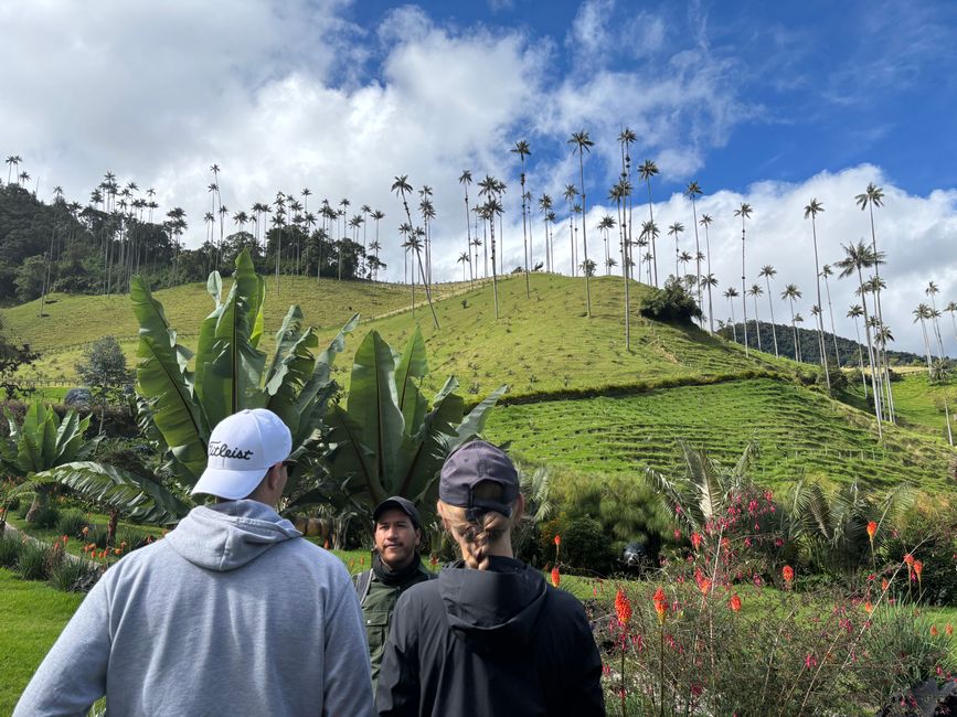 Cocora Valley
