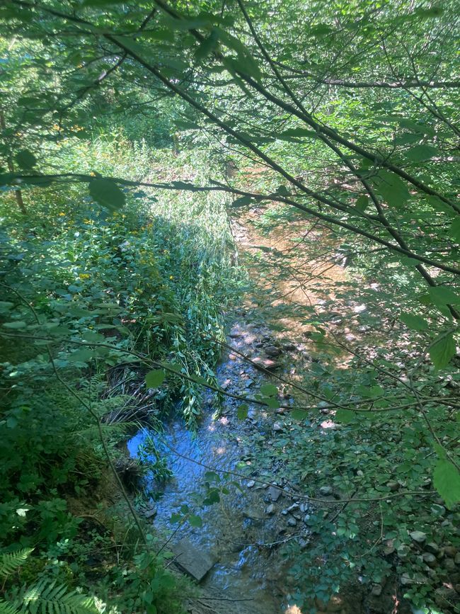 Das Wandern ist des Fischers  Lust-Ellegghöhe