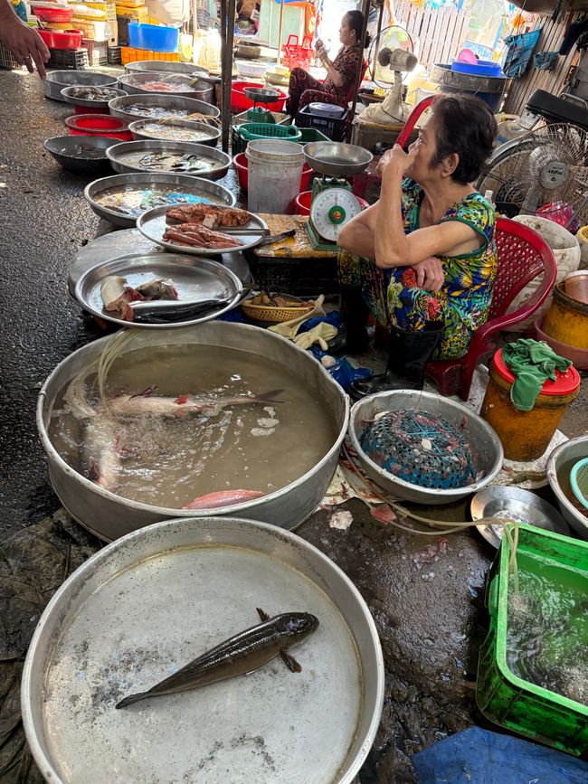 Adiós Mekong