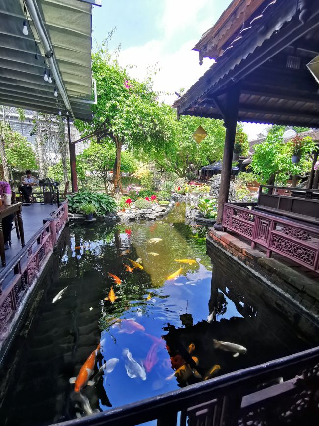Recorrido por la antigua ciudad imperial de Hue