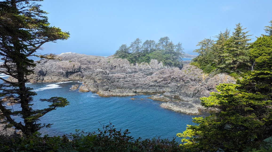 Etiqueta 7: Parque Nacional Pacific Rim - Ucluelet - Tofino