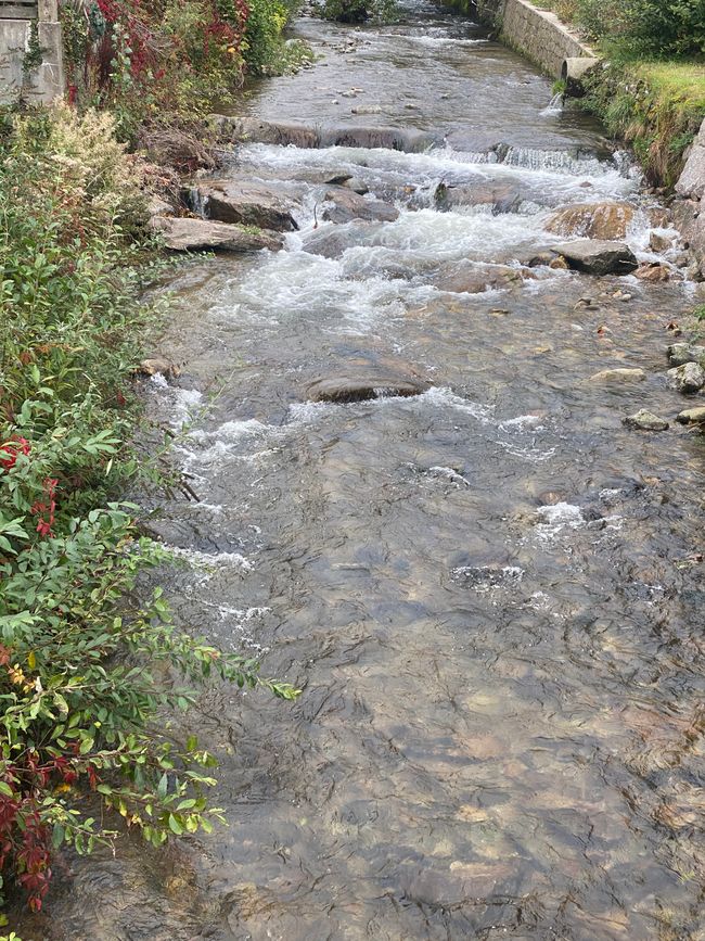 Ein Bach namens WIESE