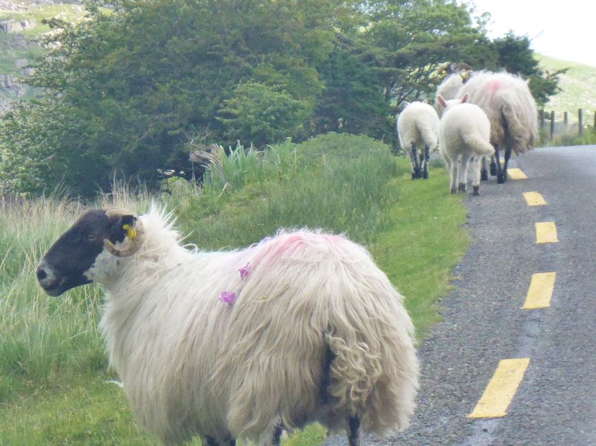 Irland