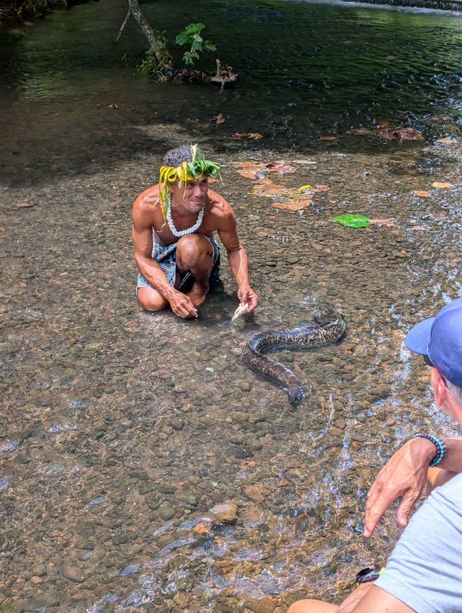 50.Tag 23.2.25 Moorea
