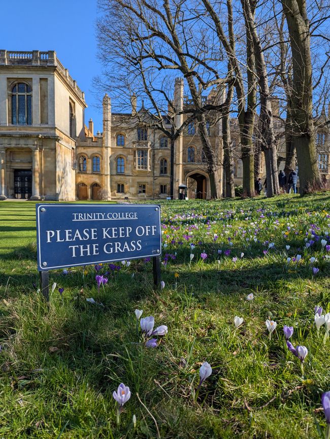 Cari saluti da Cambridge