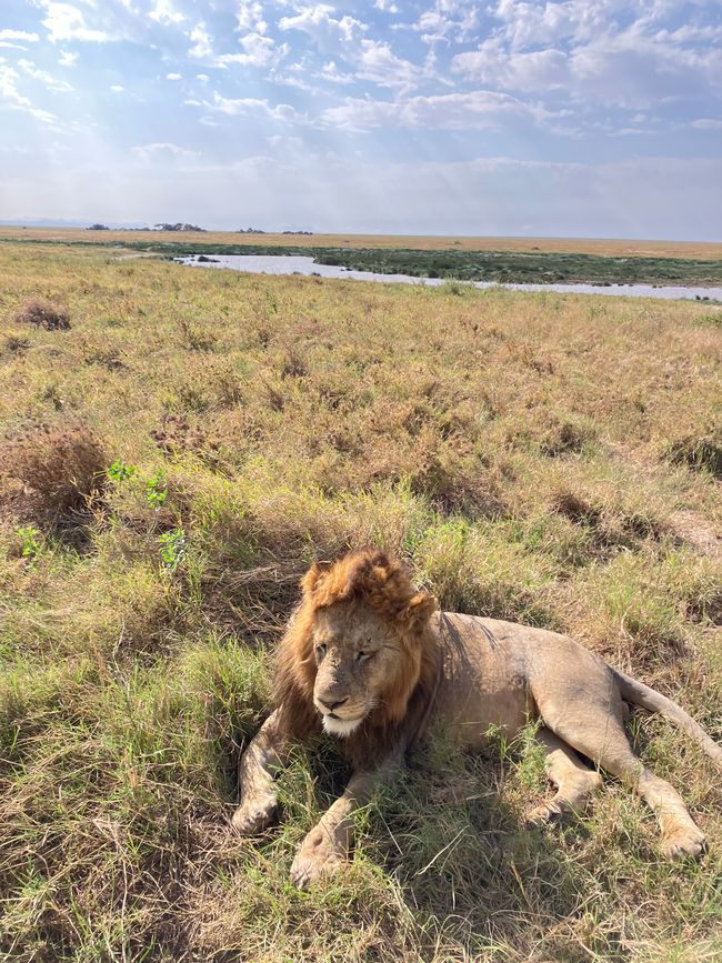 En la Serengeti - Día 2