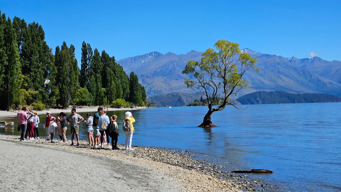 Haast Pass - Isthmus Peak - Wānaka