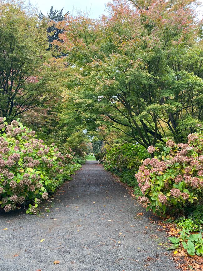 Lets do some Sightseeing