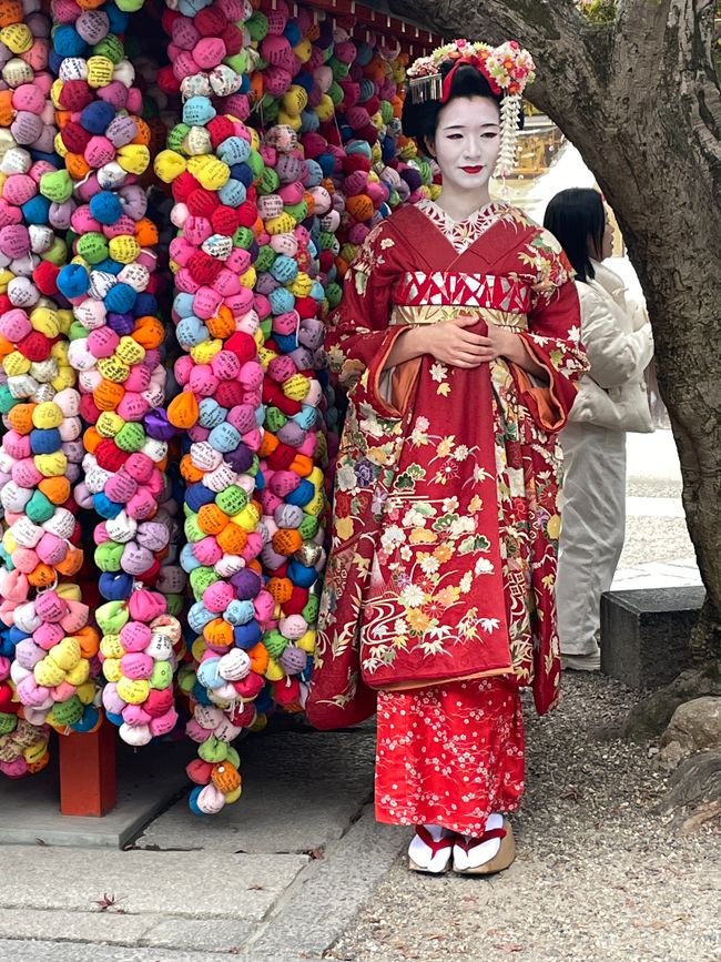 Echte Maiko