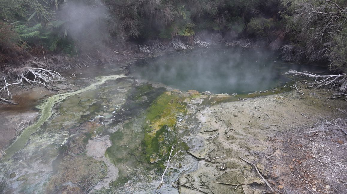 Die Schwefelablgerungen an den geothermalen Quellen sind hier deutlich zu erkennen