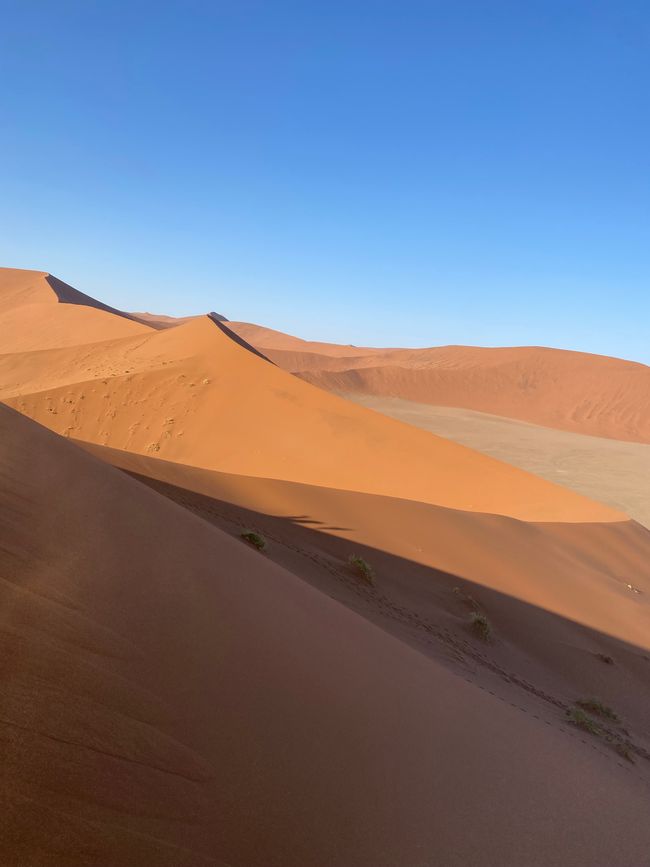 Desierto de Namibia 🏜️