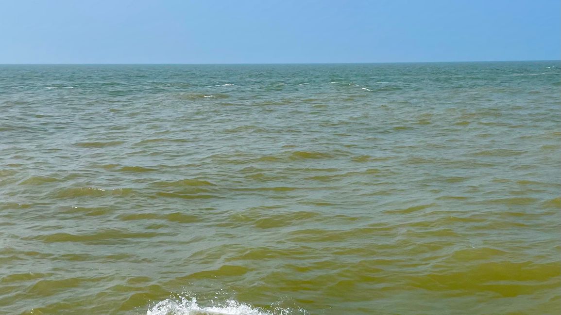 Kaum zu erkennen: Gelbes Flussasser trifft blaues Meer
