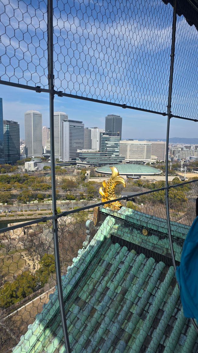 Osaka 'kuidaore' ➡️ mangiare fino a cadere