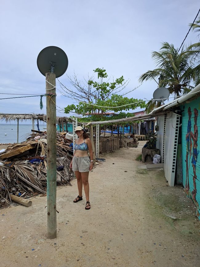 Semaine 26-28 : Au revoir, Colombie
