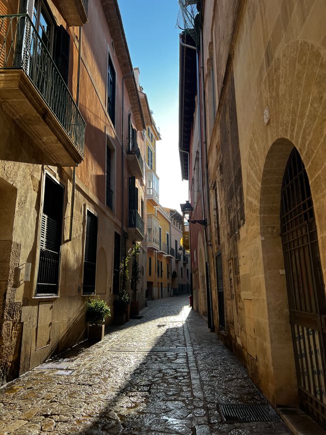Buenos dias Palma de Mallorca 
