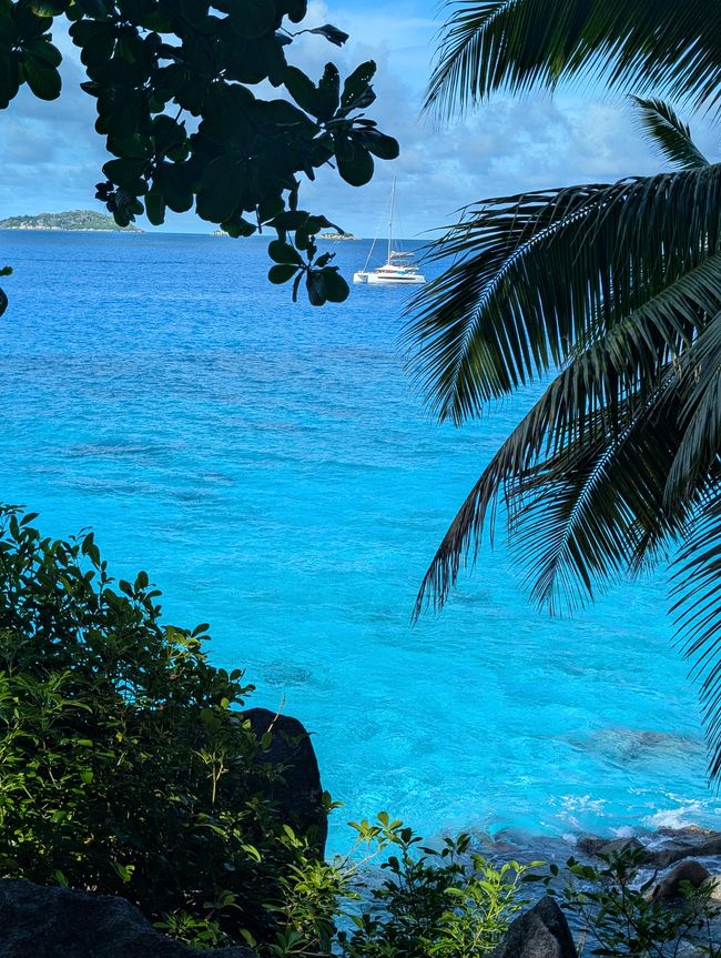 Balade à vélo spéciale dans le paradis🚲🌴