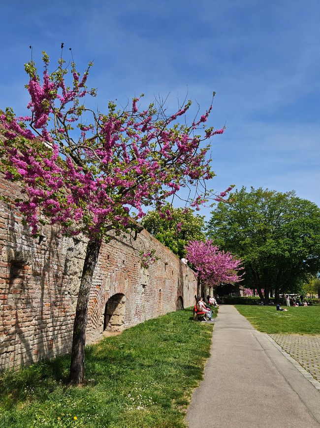 An der Stadtmauer