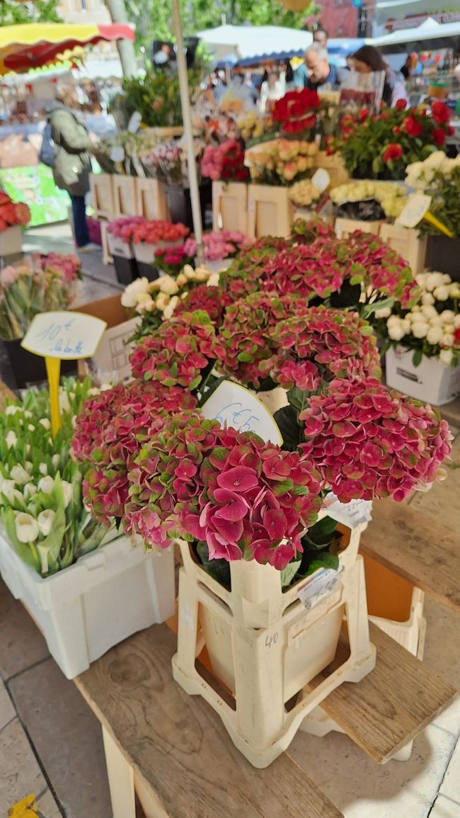 Marché sur la Place des Clercs