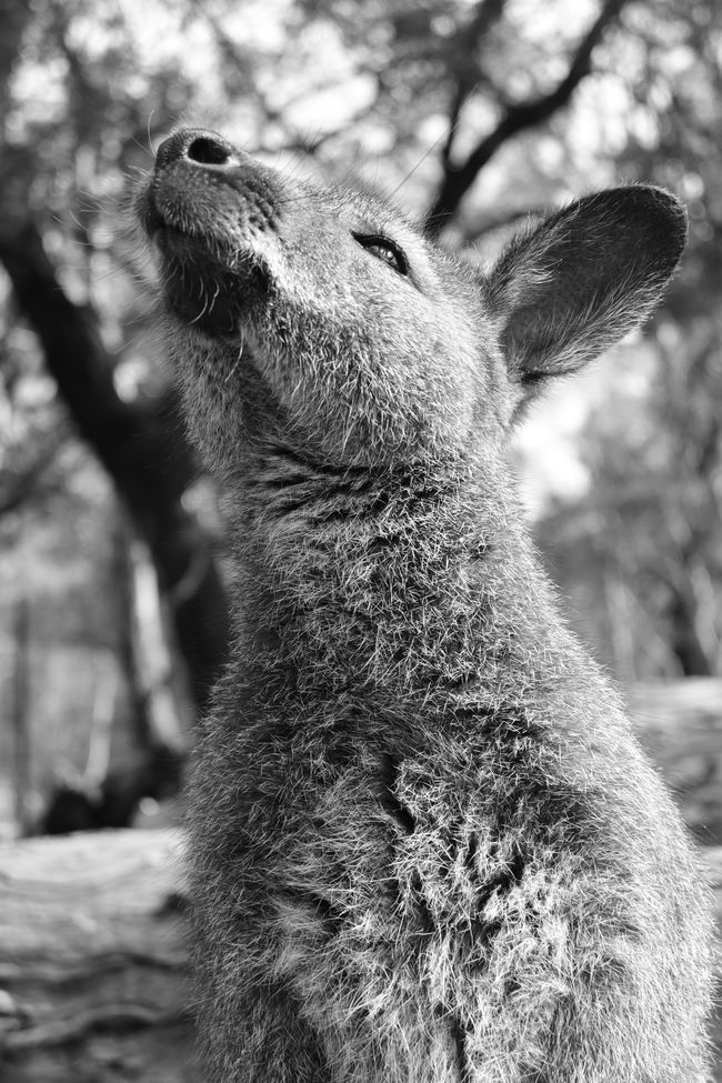 On my first full day in Australia I had to visit this place