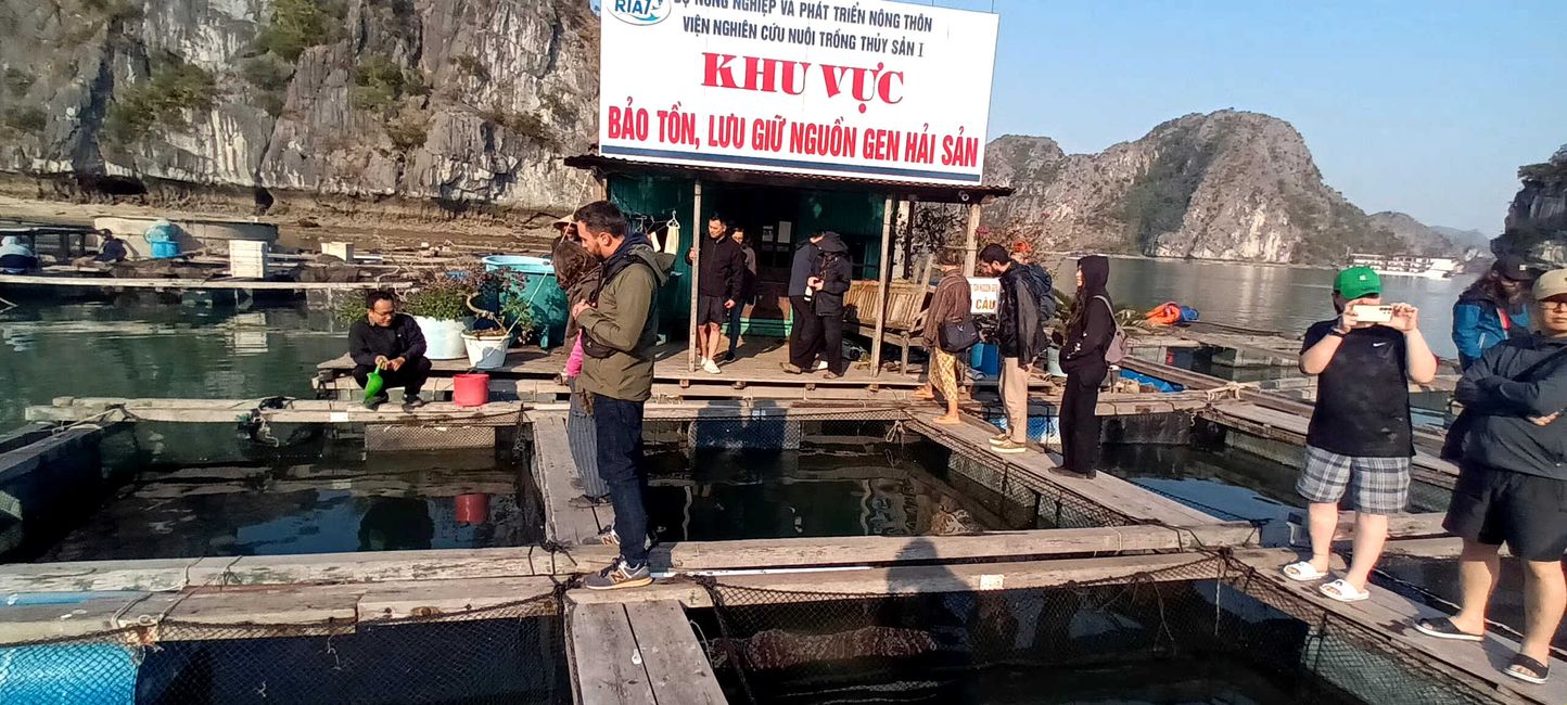 Alla pescheria