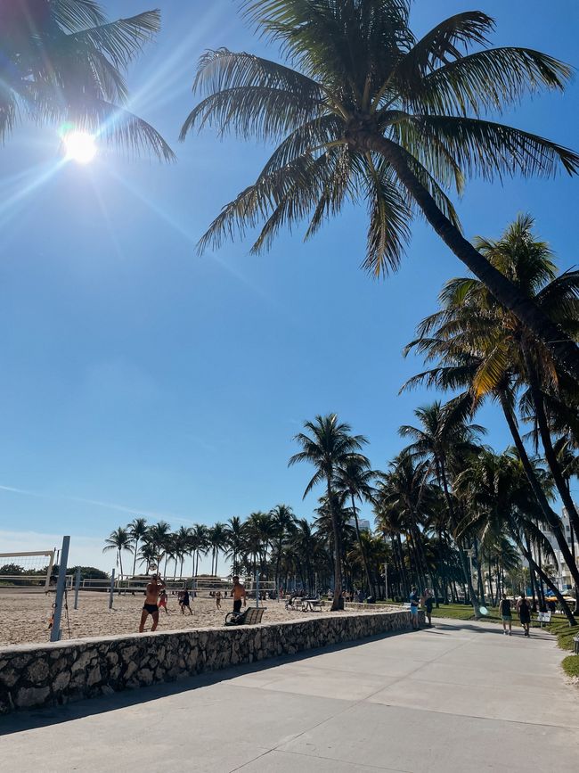 Bienvenue à Miami 1ee1f8