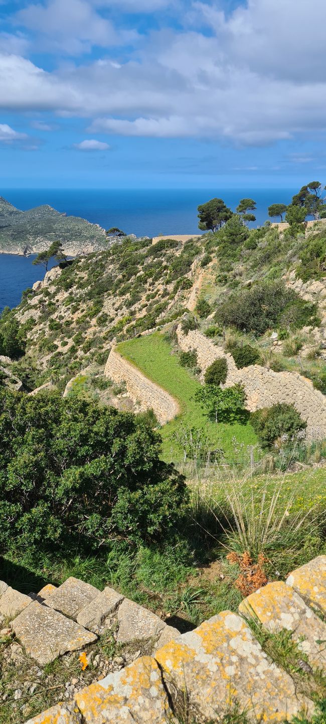 L'ingresso di Port Andratx a Ses Fontanelles