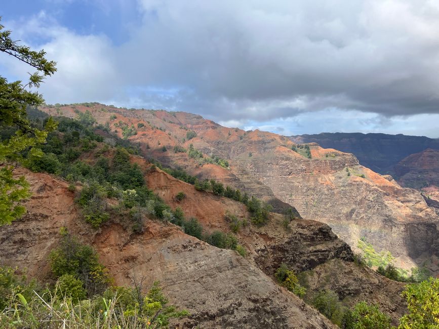 D19 - Yoga, Running and hiking Kukui trail in Waimea canyon with some surprises