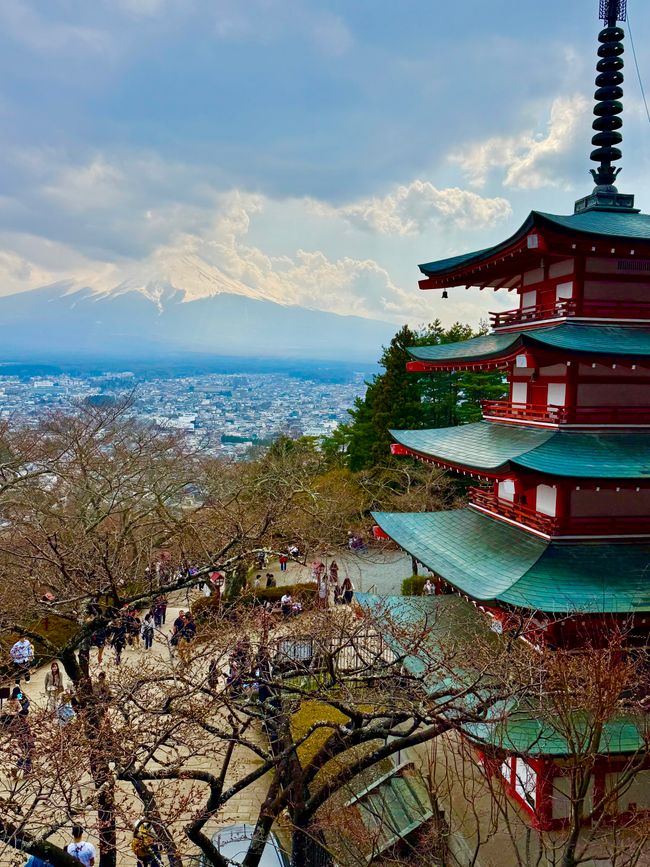 Parte 7
BENVENUTO IN GIAPPONE 🇯🇵
TOKYO