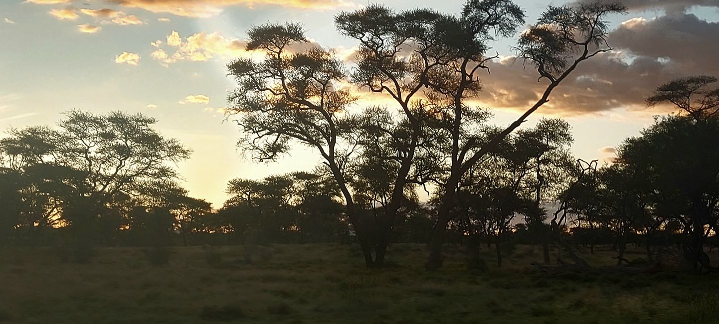 Das Licht in Namibia