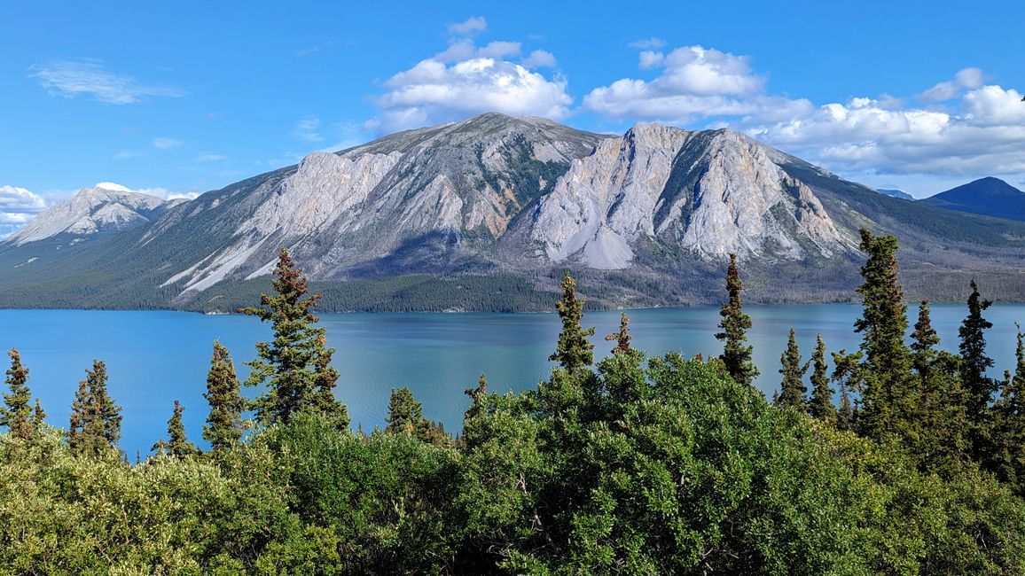 Etiqueta 21: Alrededor de Whitehorse: Cachorros de husky, Lago Esmeralda y el desierto más pequeño del mundo