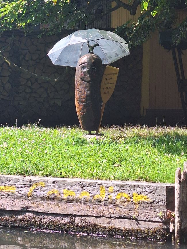 Nel Spreewald