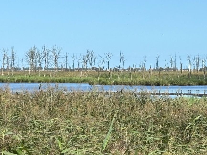 Von Berlin an die Ostsee
