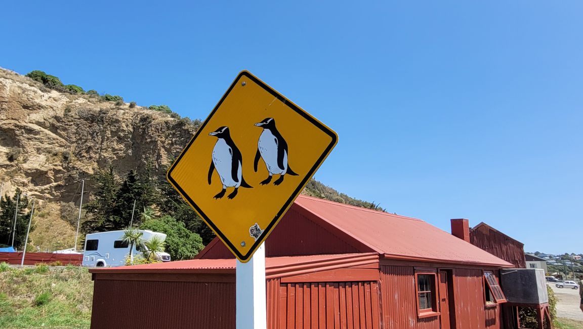 29.Januar-27.Februar 2025 Neuseeland
5.Februar