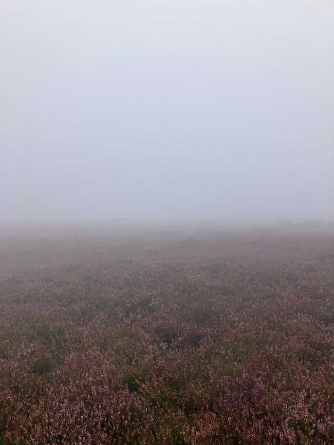 09/06/24 Ingleby Arncliffe to Clay Bank Top (and by car to Great Broughton)