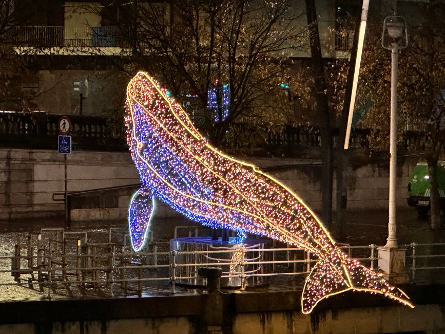 Von Salamanca nach Bilbao: Eine Reise durch Nebel, Berge und Wälder