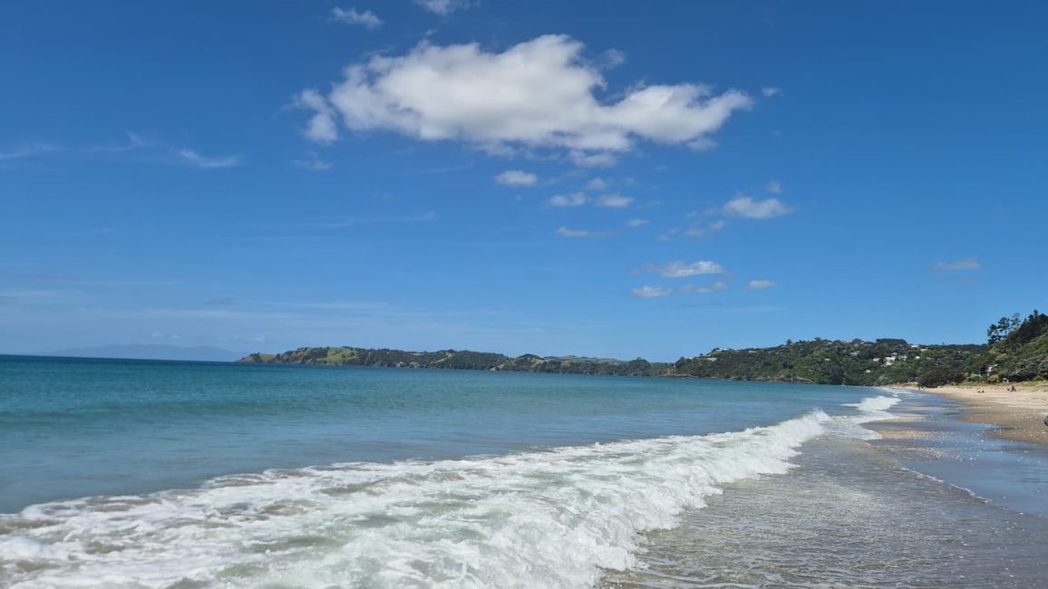 Weinprobe **Plan for Monday** Auckland - Waiheke - Auckland🍷🍇